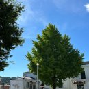 덕곡(중앙) | 영덕성당 :: 소박하지만 마음이 따뜻해지는 공간