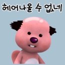 담주할머니 이미지