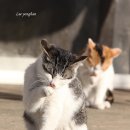 쓱쓱싹싹