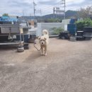 티스테이션 화순점 이미지