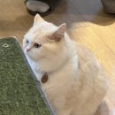 강남게임랜드 이미지