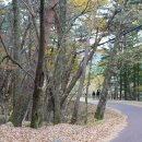 우진송죽마을 이미지