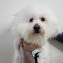 전주반월초등학교 이미지