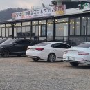 오늘도포근