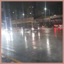 스위트레인(Sweet Rain)