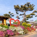 참펜션