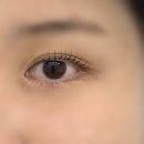 뷰티끌리네속눈썹전주점 - 전주시 덕진구 건산로 214 | [전주] 내돈내산 재방문 하가지구 속눈썹펌 후기 ‘미니뷰티’