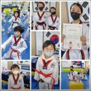 성산 코리아 태권도 이미지