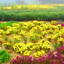 제주건강과 性 박물관 이미지