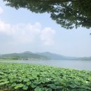 두물머리: 양평군민도 모르는 두물머리 활용법