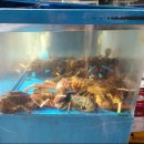 복정랍스타 이미지