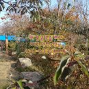 양평한강공인중개사사무소 이미지