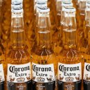 국민여가캠핑장 1 이미지