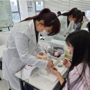 네일정원 이미지