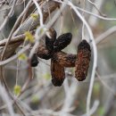 우성초등학교 이미지