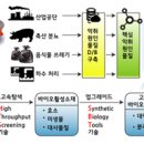 화인코리아 이미지