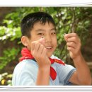 승주초등학교 죽학분교 이미지