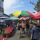 홍성군청 | 250926_홍성군청_관리감독자 정기안전보건교육