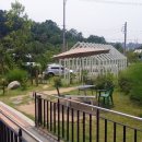 우성닭갈비 이미지