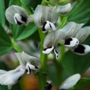 사랑은 아름다워라 이미지