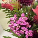 수아flower
