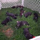 프불리하우스 이미지