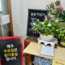 자원동 | 삼척 봉평막국수 장미축제 장미공원 근처 현지인 맛집 내돈내산 솔직후기