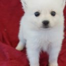 몽글몽글 이미지