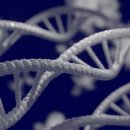 바이오스파마 이미지