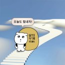 2505 일상 (4) 죽지도 않고 돌아오는 다이어트 호소인
