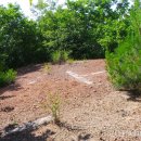 신안리석불입상 이미지