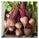 다감농장 이미지