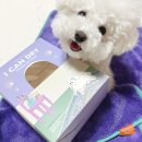 강아지 목욕 수건 도그아띠 펫타올 높은 흡수력으로 빠른 털 말리기