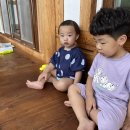 운악채한옥마을11 이미지