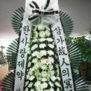 한사랑제약 이미지