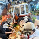 왕왕상사 이미지