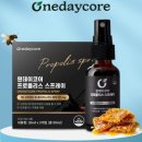 키위몬라이브