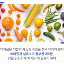 약초생활건강 이미지