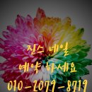 진스네일 이미지