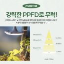 태양엘이디조명 | 다육이·나무 키우는 분 필수! 해바라기램프 리뷰와 재구매율 높은 이유