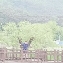 썬팅마을