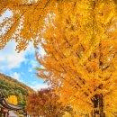 단풍명소로도 유명한 배론성지 이미지