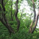 청운물산 이미지