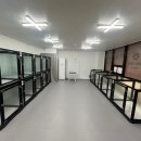 멍케어존 이미지