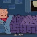 잠실수약국 | 약국수면제 알아보다가 멜락플로로 먼저 관리해본 후기