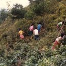 오리초등학교 이미지