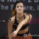 Street Circus 이미지