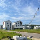 스카이블루 38 이미지