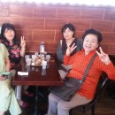 비버리 힐 이미지