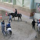 영천시운주산승마조련센터 이미지